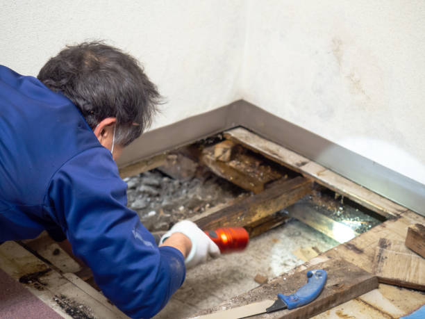 Best Crawl Space Mold Removal  in Valle Vista, CA