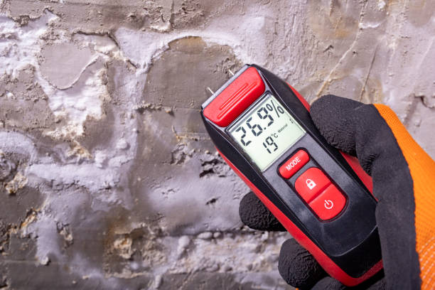Best Mold Removal Near Me  in Valle Vista, CA