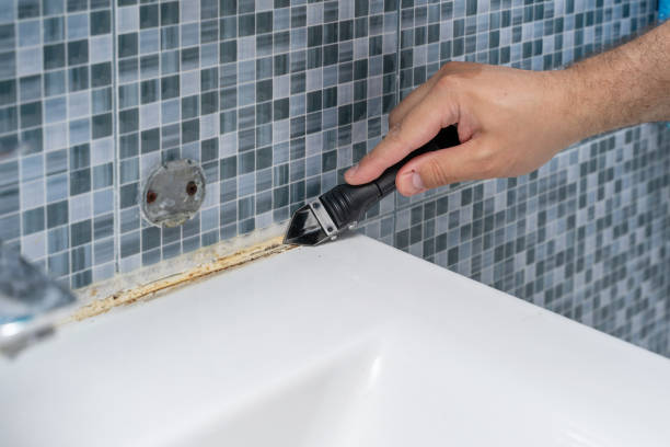 Best Mold Remediation  in Valle Vista, CA
