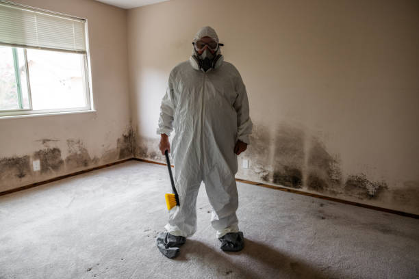 Best Mold Testing  in Valle Vista, CA